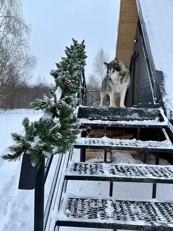 А-фрейм 4-местный