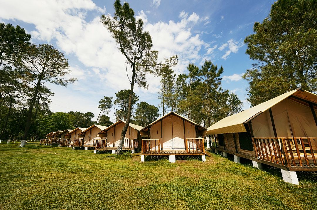 Территория | HOUSE OF THE SEA Glamping , Очамчырский район