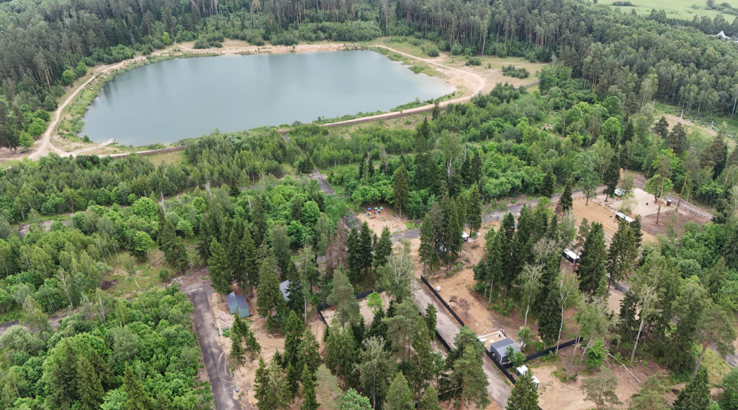 Уютный Геокупол в окружении вековых елей, Московская область: фото 4