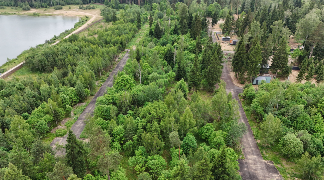 Уютный Геокупол в окружении вековых елей, Московская область: фото 5