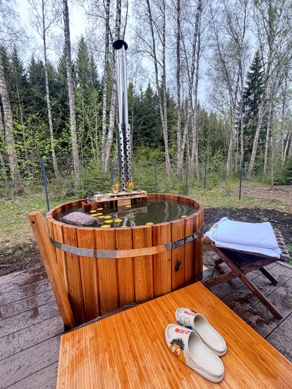 Частный дом с камином и потрясающим видом на лес, Московская область: фото 5