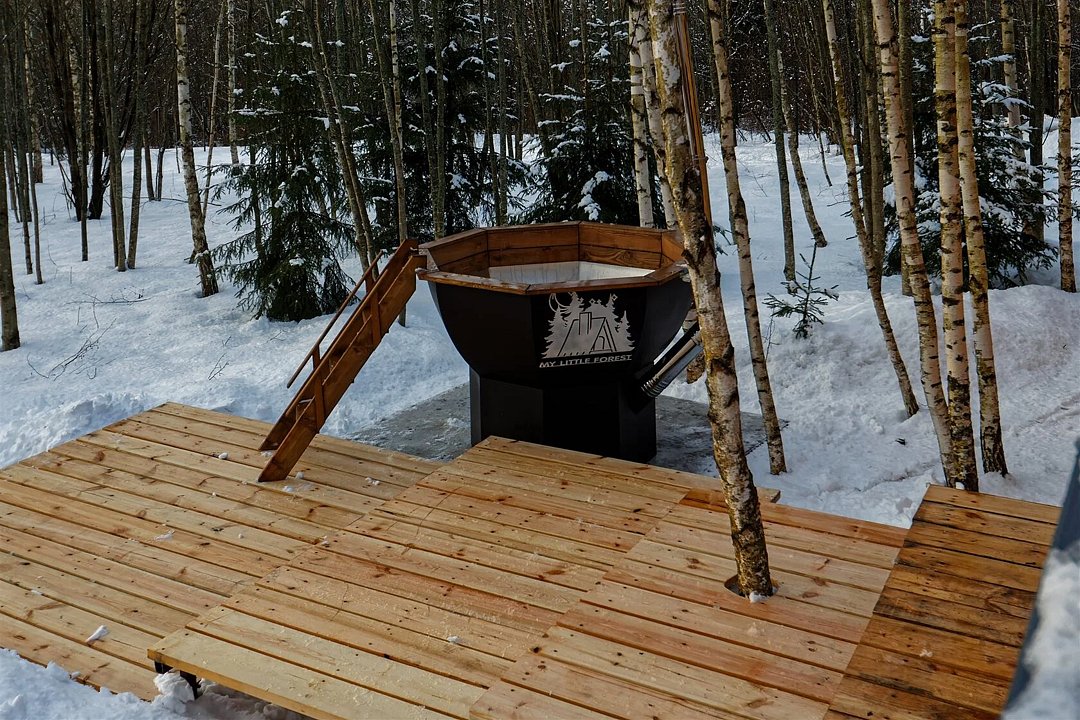 Дом 2-местный 1-комнатный (А-фрейм 2)