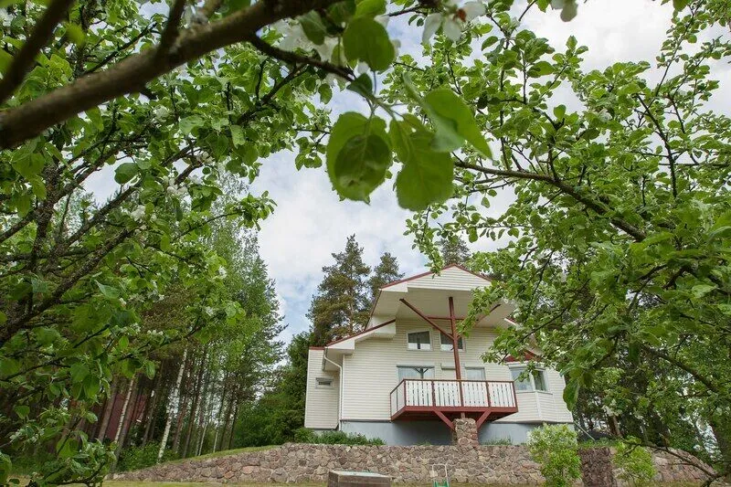 Сайрала, Ленинградская область: фото 3