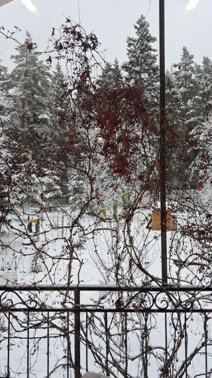 Частный Дом на Учаcткe 61 Соткa, Московская область: фото 3