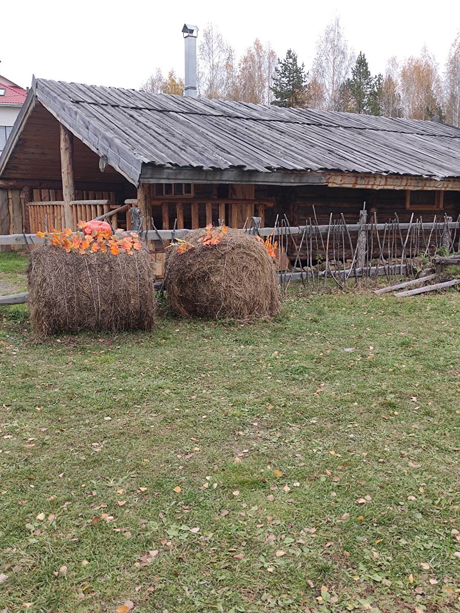 Фото 13 из отзыва о базе отдыха Философия отдыха