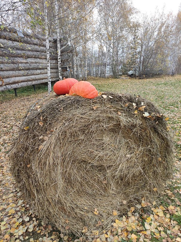 Фото 1 из отзыва о базе отдыха Философия отдыха