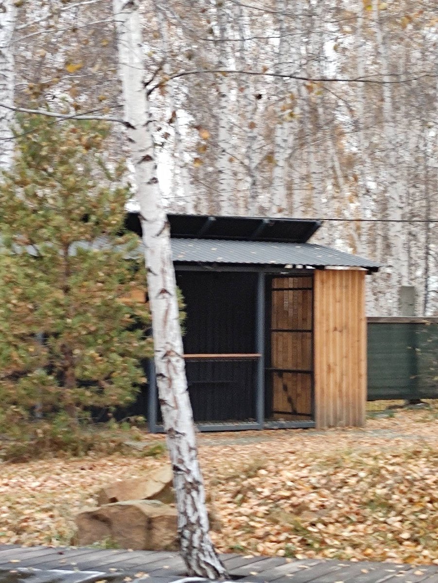 Фото 11 из отзыва о базе отдыха Философия отдыха