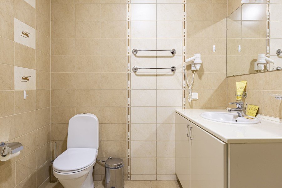 Мансардный Плюс 2-местный 1-комнатный