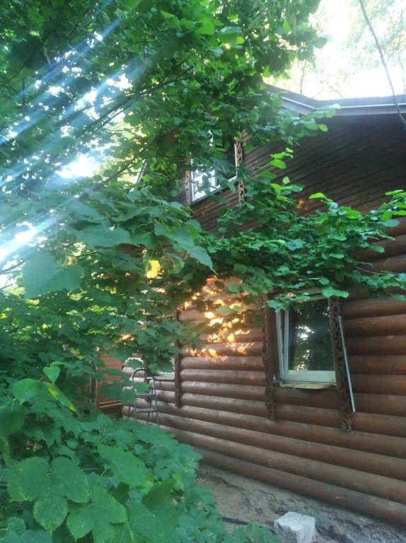 Частный дом Домик с Баней в Саду, Московская область: фото 4