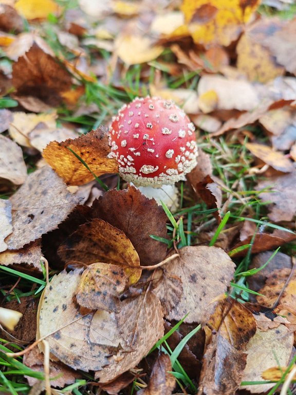 Фото из отзыва от 18.10.2025