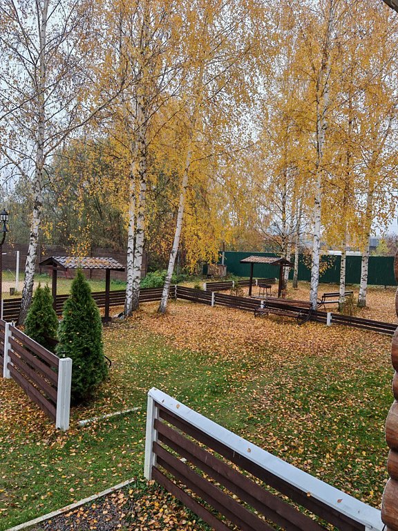 Фото из отзыва от 18.10.2025