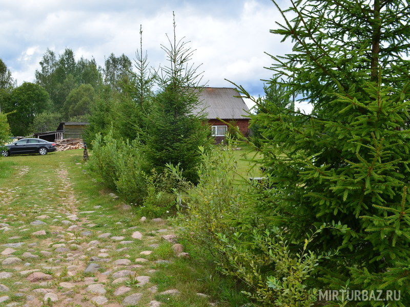 Олений Рог, Тверская область: фото 4