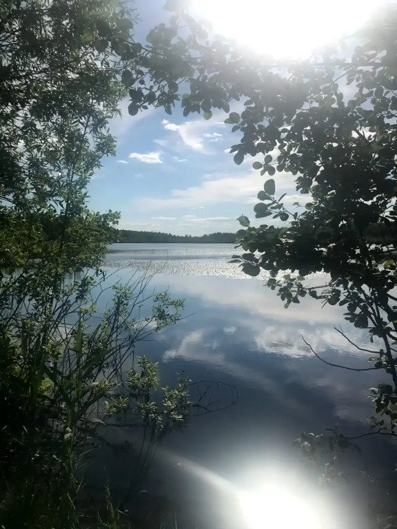 Частный дом в СНТ Ивушка 216, Московская область: фото 4