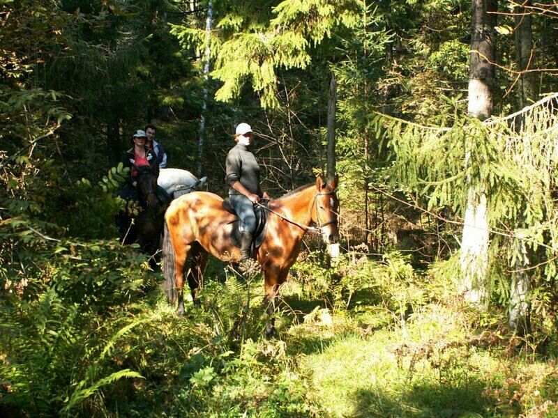 Поход на лошадях