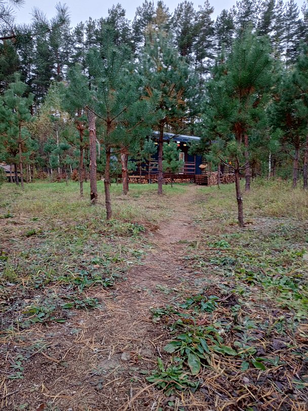 Простокашино, Владимирская область: фото 5