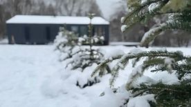 Коттедж с 2 комнатами, Частный дом Дом на краю леса, Клин