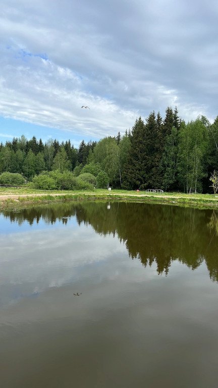 Частный дом в стиле Этно Фермерские Дачи, Московская область: фото 5