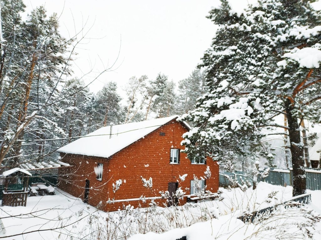 Журавель, Кемеровская область: фото 4