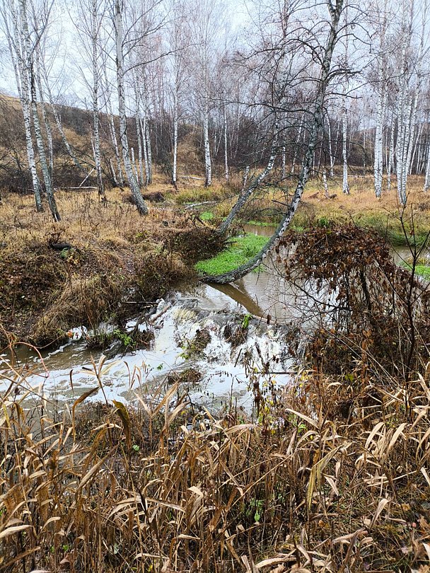 Фото 4 из отзыва о глэмпинге Глэмпинг-парк Лох-бро