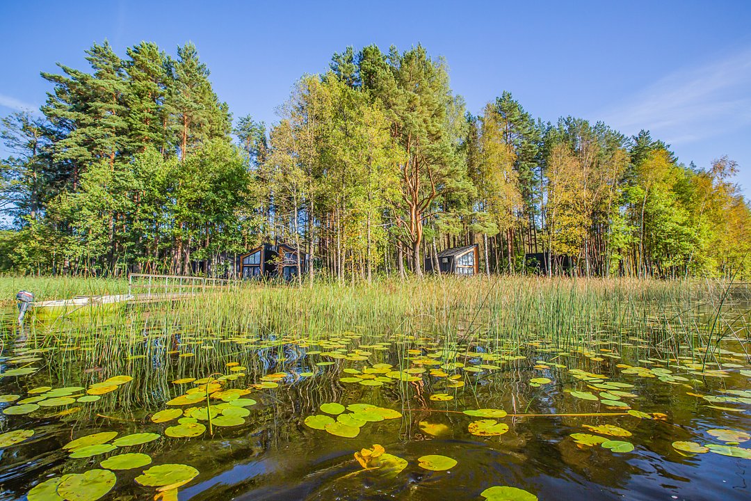 Солнечный Бор, Псковская область: фото 3