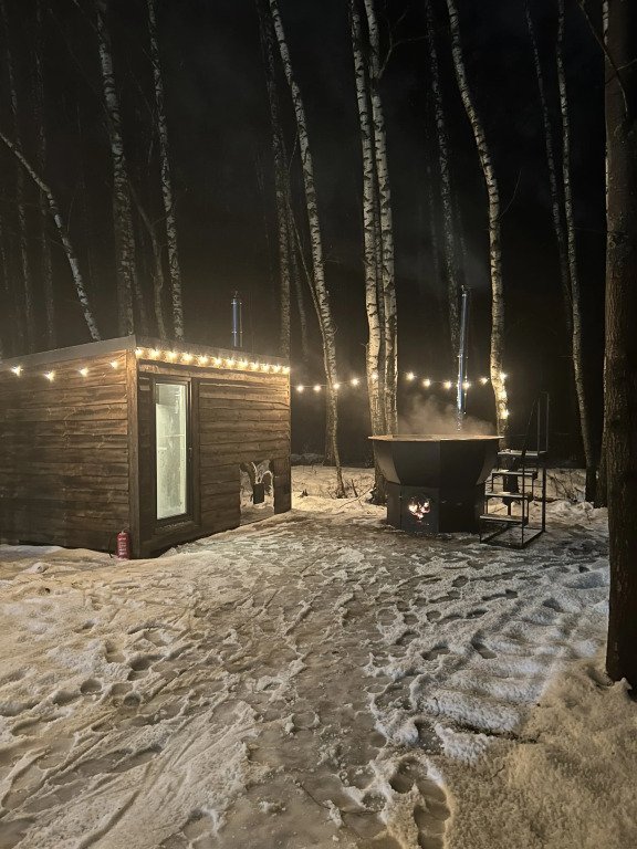 Частный дом Изба ТТ, Московская область: фото 3