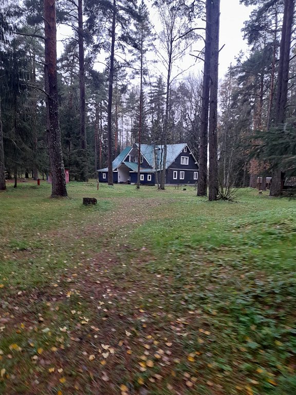 Фото из отзыва от 25.10.2025