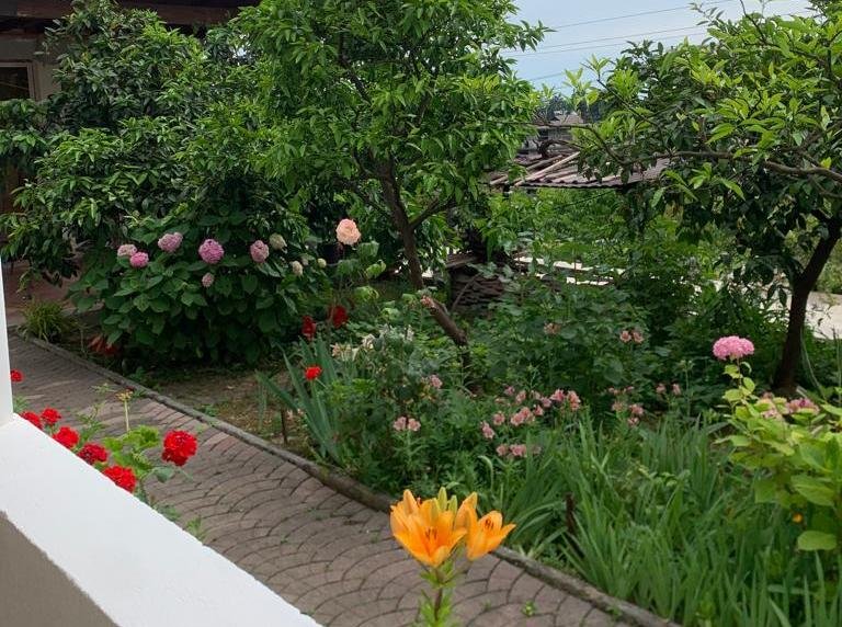 Улучшенный 3-местный 1-комнатный