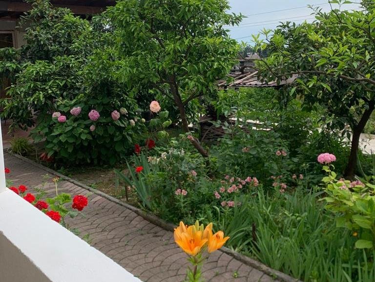 Улучшенный 4-местный (вид на сад)