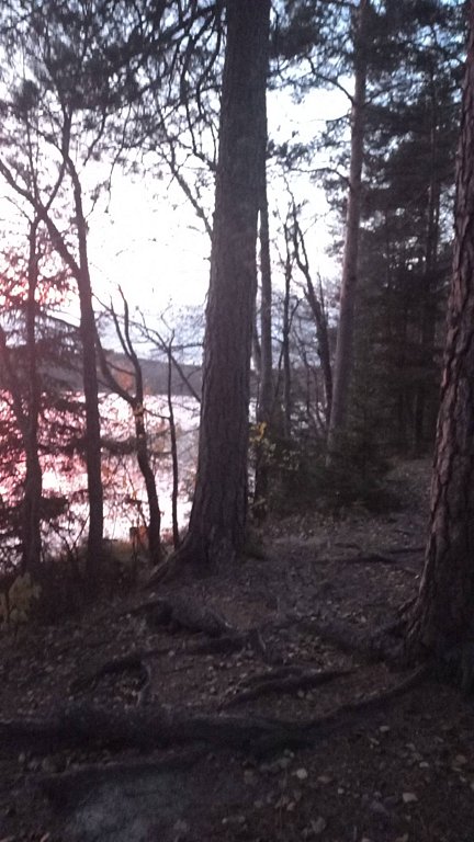 Фото из отзыва от 19.10.2025