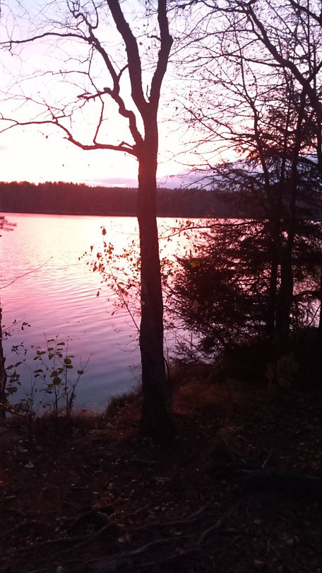 Фото 4 из отзыва о загородном клубе ОРЕХ