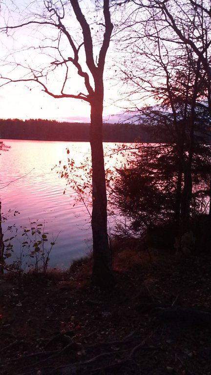 Фото из отзыва от 19.10.2025