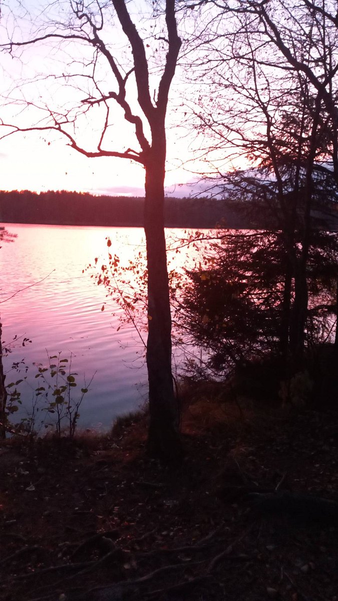 Фото 4 из отзыва о загородном клубе ОРЕХ