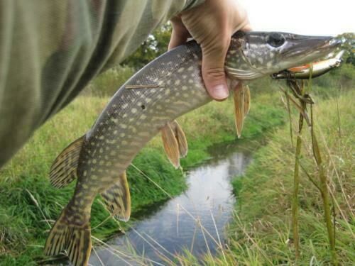 Рыбалка | Сурский берег, Республика Чувашия