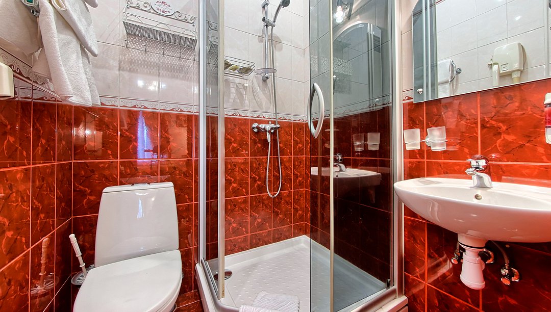 Полулюкс 3-местный (вид на Невский)