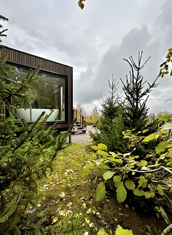 Дома в аренду Blueberry Village, поселок Сосново, Ленинградская область