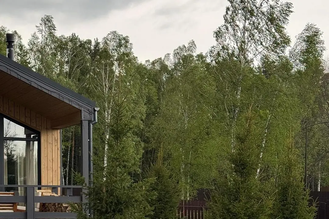Cozy home с сауной и камином Лес_Озеро_Дом, Московская область: фото 5