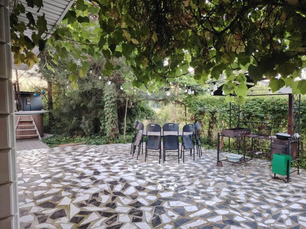 Зебра, Московская область: фото 3