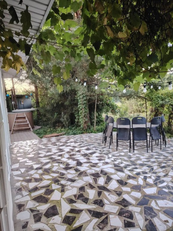 Зебра, Московская область: фото 4