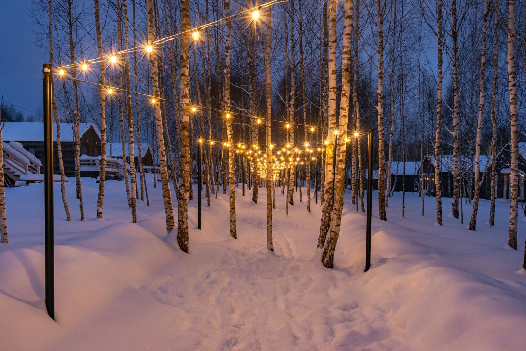 Частный Дом Simple Life Home 179, Московская область: фото 5