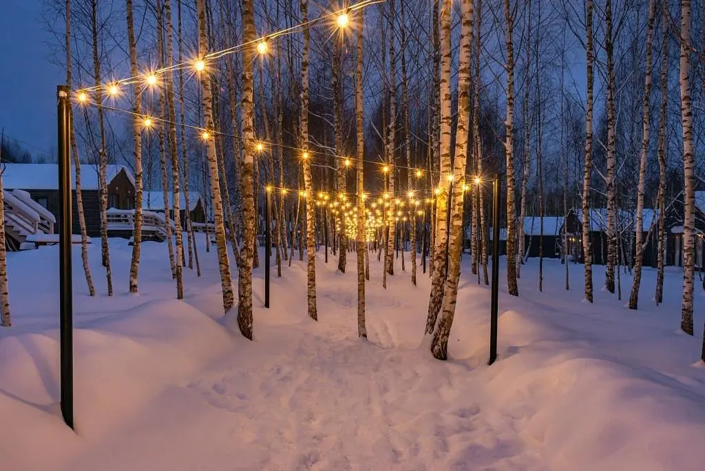 Частный Дом Simple Life Home 179, Московская область: фото 5