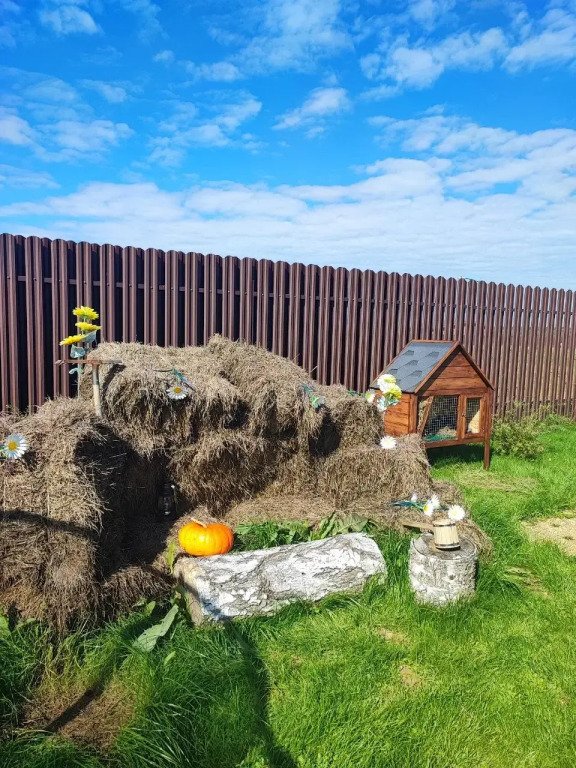 Частный дом с панорамными окнами с выходом на террасу и баней на дровах, Московская область: фото 4