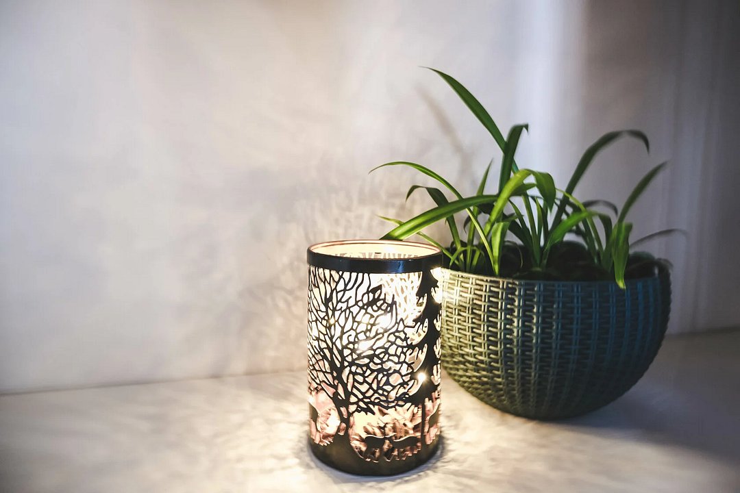 Дом 8-местный 3-комнатный (Виноград)