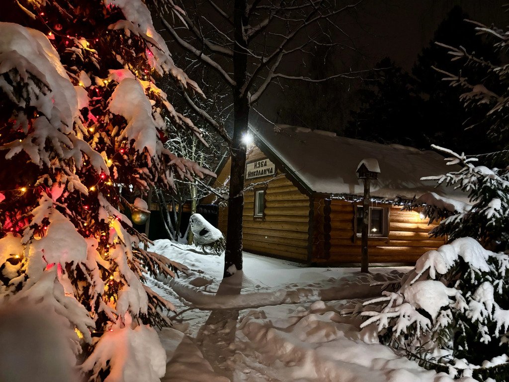 Шале  Изба Николаича, Московская область: фото 2