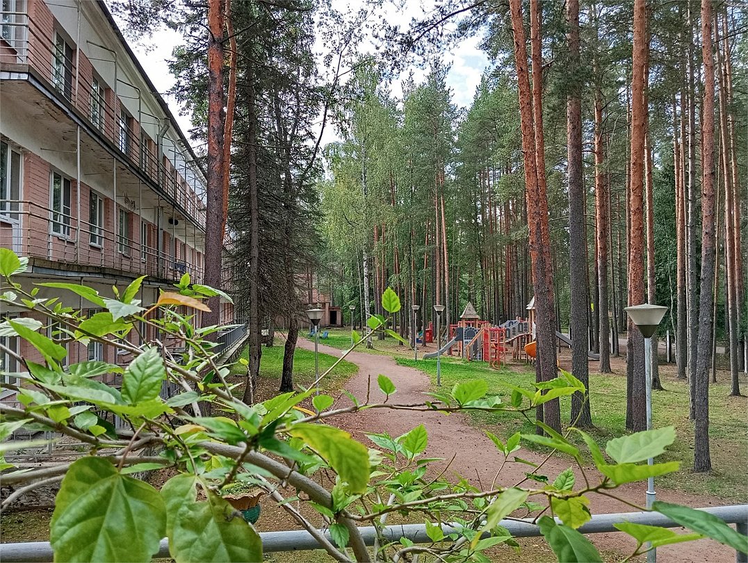 Дом отдыха Комарово, Ленинградская область, поселок Комарово Ильичево Сертолово поселок Ольшаники Курортный район