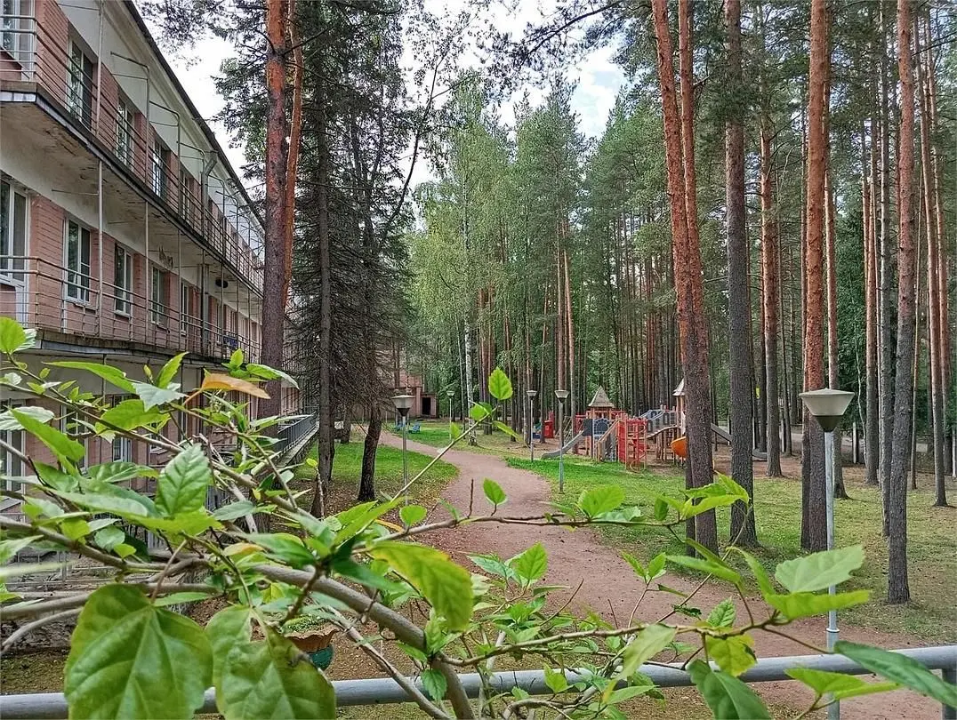 Дом отдыха Комарово, поселок Комарово, Ленинградская область