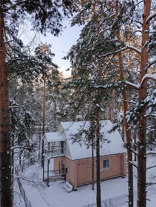 Комарово, Ленинградская область: фото 2