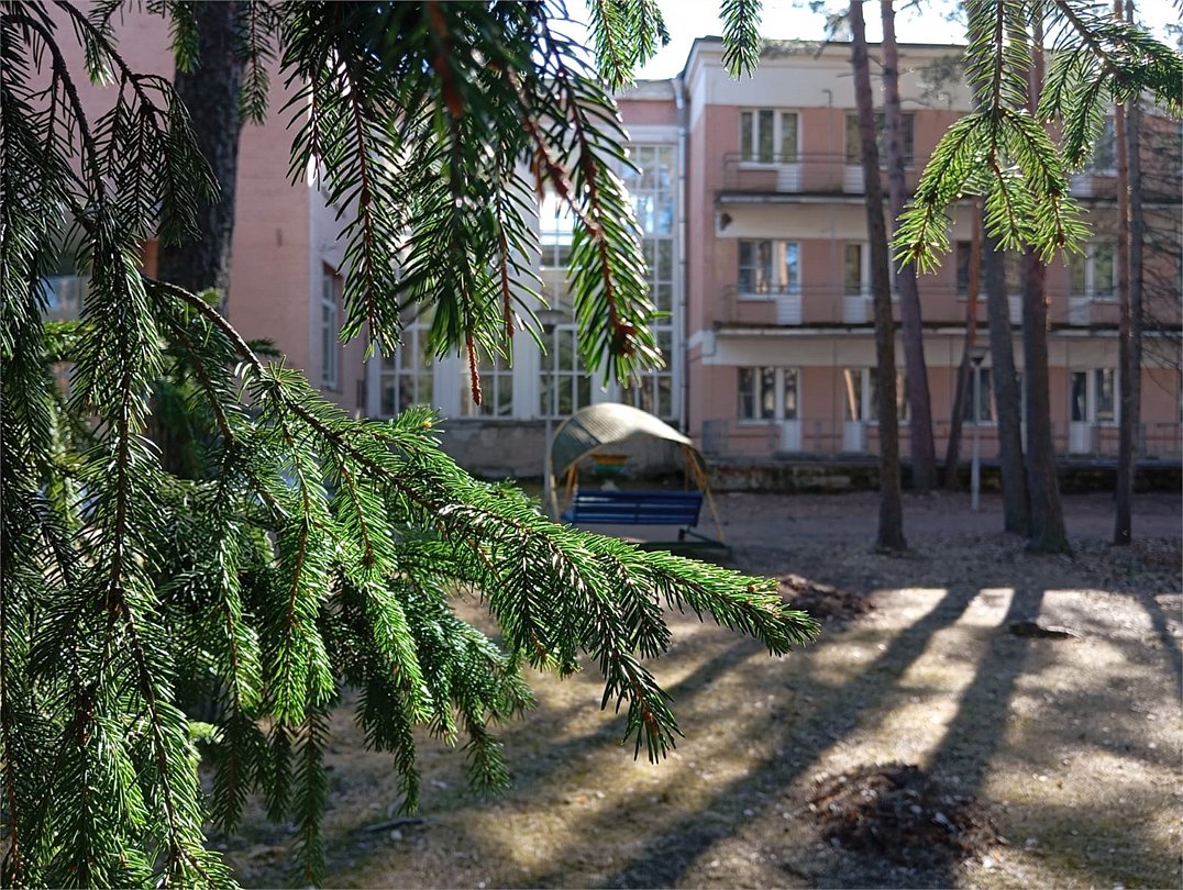 Комарово, Ленинградская область: фото 4