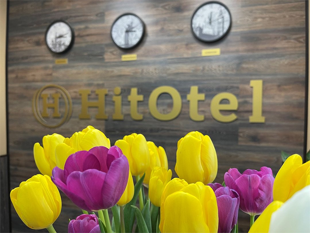 Отель Hitotel, Волгоградская область, Волгоград 