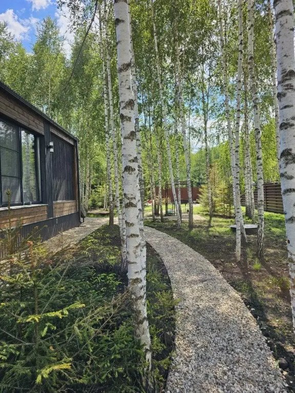 Пaноpaмный дом в хвойнoм лесу с сaуной, Московская область: фото 3