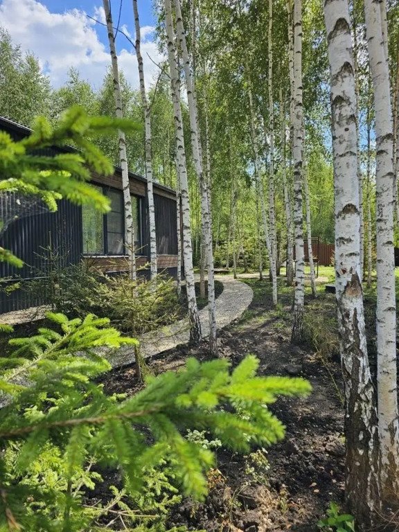 Пaноpaмный дом в хвойнoм лесу с сaуной, Московская область: фото 4